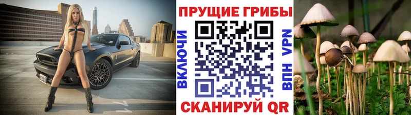 blacksprut как зайти Благодарный Псилоцибиновые грибы Psilocybe