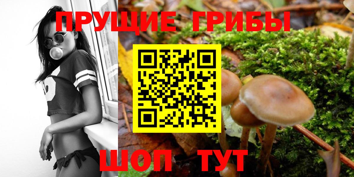 Галлюциногенные грибы Psilocybine cubensis  Благодарный 