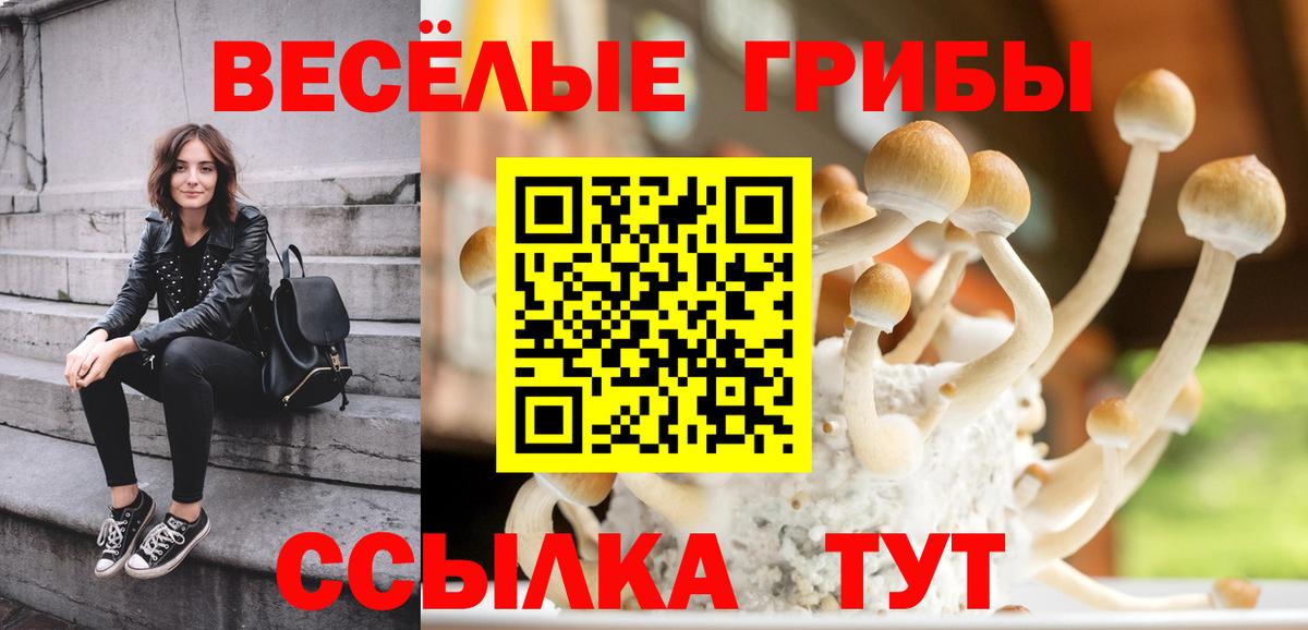 Галлюциногенные грибы мицелий  Вход с VPN  Благодарный  Псилоцибиновые грибы MAGIC MUSHROOMS 