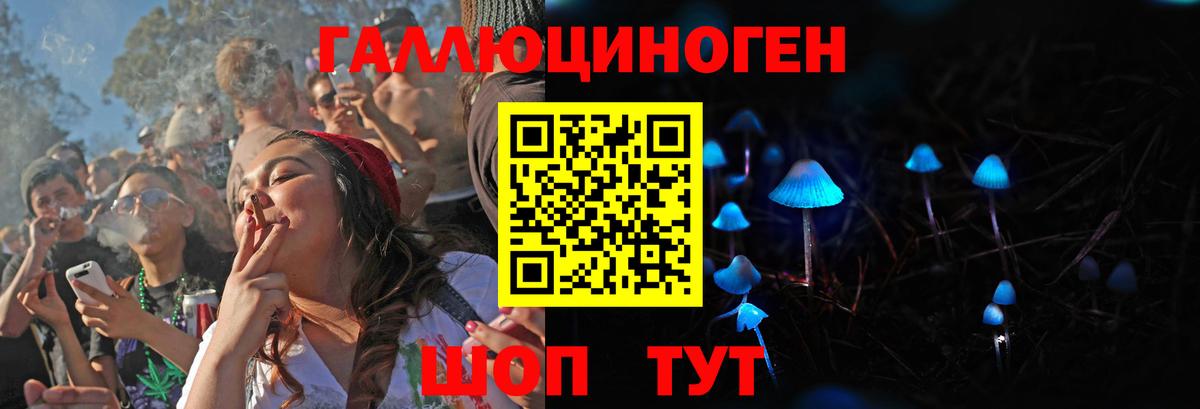Галлюциногенные грибы Psilocybe Благодарный